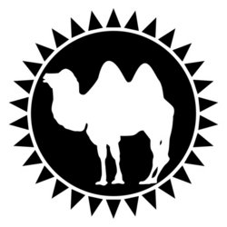 Camel stock photo