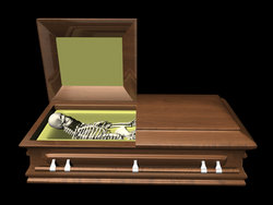Skeleton in coffin - side view on black stock photo